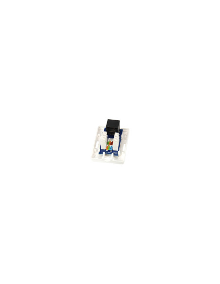 Equip 235113 caja de tomacorriente RJ-45 Blanco