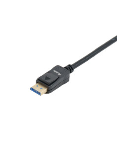 Equip 119274 cable DisplayPort 5 m Negro 2