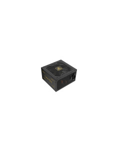 Enermax ERV850G-AHG-NAC unidad de fuente de alimentación 850 W 20+4 pin ATX ATX Negro 2