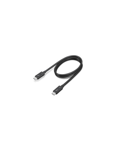 Lenovo 4X91K16968 cable Thunderbolt 0,7 m 40 Gbit/s Negro