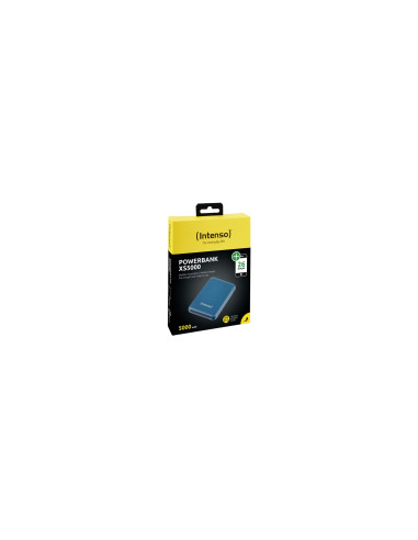 Intenso XS5000 PolÍ­mero de litio 5000 mAh Gasolina