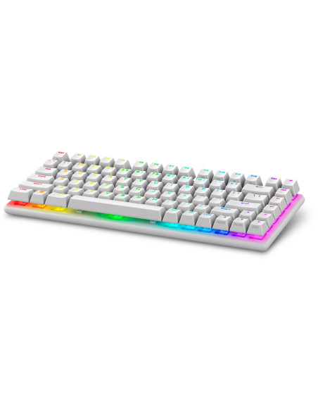 Alienware Pro Wireless Gaming Keyboard teclado Juego USB + RF