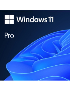 WINDOWS 11 PROFESSIONAL 64 BITS SIN DVD