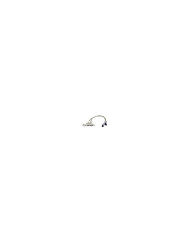 StarTech.com Cabezal Bracket Perfil Bajo de 2 puertos USB 2.0 con