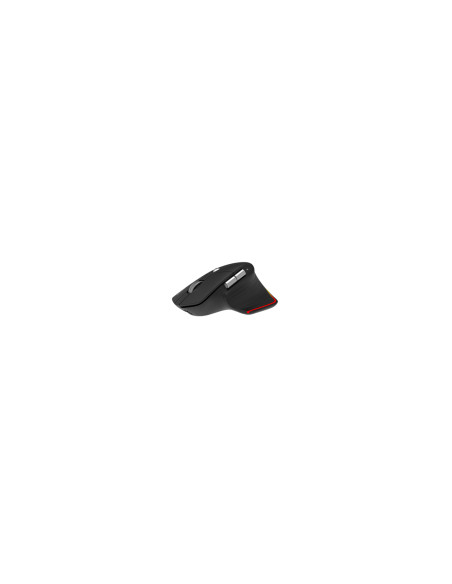 Acer Easy Fit Mouse​ - Retail pack ratón mano derecha RF Wireless +