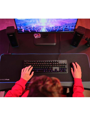 ALTAVOCES TRUST GXT 612 CETIC GAMING RGB 2.0 USB/WIRELESS BLACK