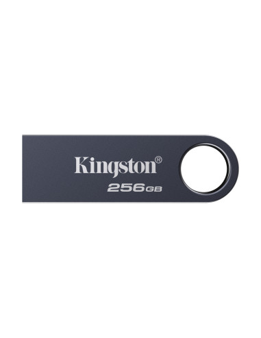 Kingston Technology DataTraveler 256 GB SE9 G3 - Níquel oscuro