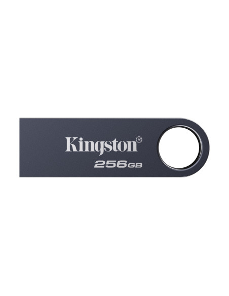 Kingston Technology DataTraveler 256 GB SE9 G3 - Níquel oscuro
