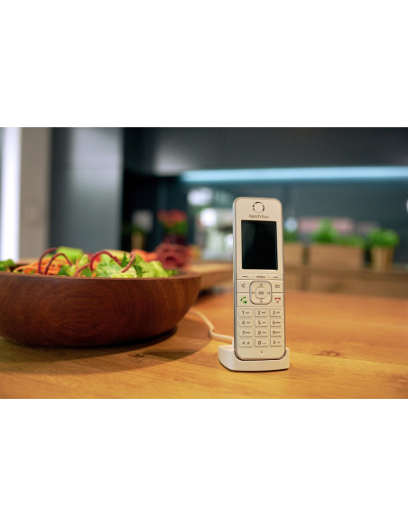 FRITZ!Fon C6 Teléfono DECT Identificador de llamadas Blanco