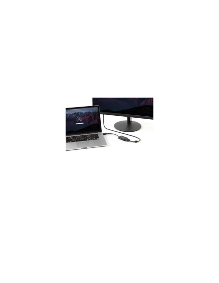 StarTech.com Cable Adaptador Externo Conversor de VÍ­deo y Audio HDMI