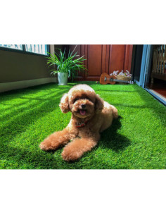CESPED ARTIFICIAL 2X5 METROS 20MM SERIE ELEGANT SUNGARDEN 2