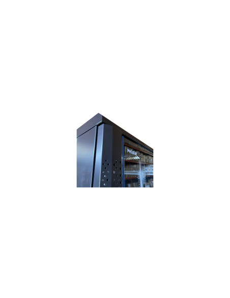 Phasak Armario Rack PRO 19" 32U 600 x 600 negro con ventilación - PHO 6632