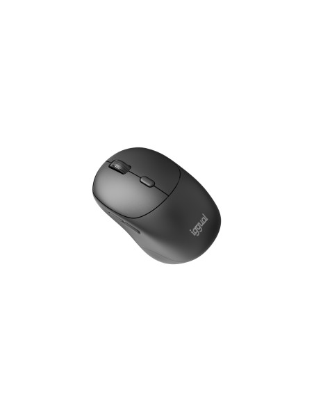 iggual Ratón inalámbrico NANO-OFFICE-6D 1600DPI