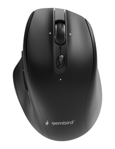 Gembird MUSW2-6B-02 ratón Hogar Mano derecha RF Wireless + Bluetooth Óptico 2400 DPI