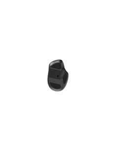 Gembird MUSW2-6B-02 ratón Hogar Mano derecha RF Wireless + Bluetooth Óptico 2400 DPI 2