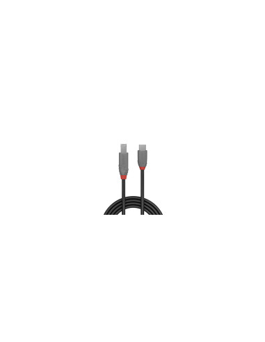 Lindy 36667 cable USB USB 3.2 Gen 1 (3.1 Gen 1) 2 m USB C USB B Negro