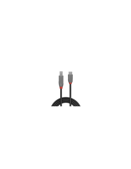 Lindy 36667 cable USB USB 3.2 Gen 1 (3.1 Gen 1) 2 m USB C USB B Negro