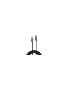 Lindy 36893 cable USB USB 2.0 3 m USB C Micro-USB B 0,48 Gbit/s Negro 2