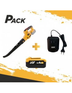 SOPLADOR S/CARBONES 20V + BATERIA 4AH + CARGADOR BLIM