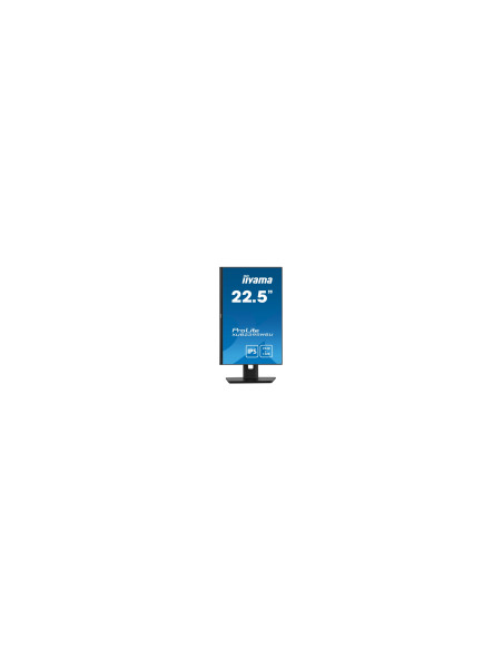 iiyama ProLite XUB2395WSU-B5 pantalla para PC 57,1 cm (22.5") 1920 x