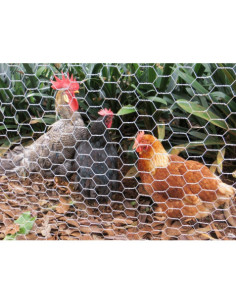 MALLA GALLINERO HEXAGONAL 13X0.7MM 1X50 METROS SUNGARDEN 2