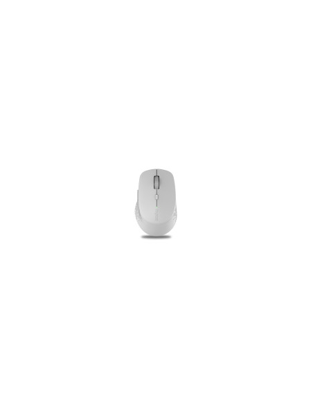 RAPOO Ratón Inalámbrico M300, Silencioso, Multimodo, Diseño ergonómico, BaterÍ­a duradera, Color gris
