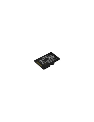 Kingston Technology 256GB micSDXC Canvas Select Plus Gen3 150R A1