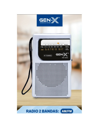 RADIO PORTATIL AM/FM ANALOGICA GRIS FM-4406 GEN-X