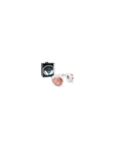AURICULARES CONCETRONIC BLUETOOTH ORO ROSA CHSPBTNFCSPKR