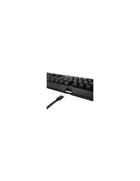 CHERRY XTRFY MX 3.1 RGB teclado Juego USB QWERTY Español Negro