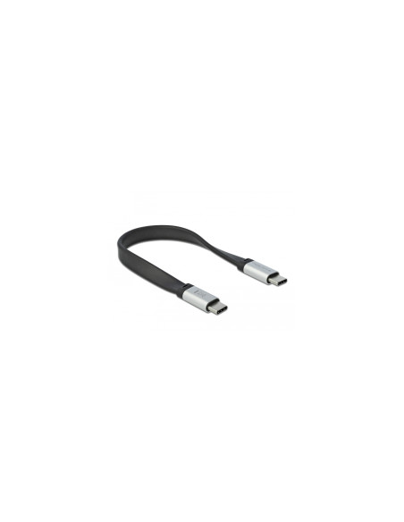 DeLOCK cable USB 3.2 Gen 2 (3.1 Gen 2) USB C, 0,22 m Negro, Plata