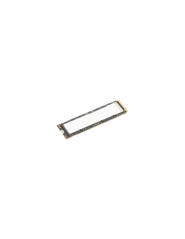 Lenovo 4XB1S30112 unidad de estado sólido 1 TB M.2 PCI Express 5.0