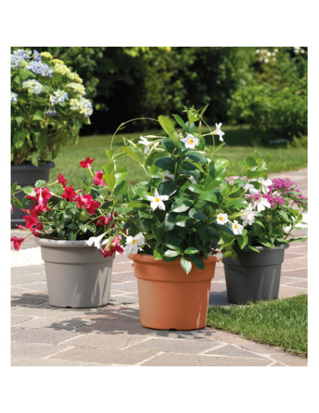 MACETA REDONDA DIAMETRO 20CM TERRACOTA ARTPLAST