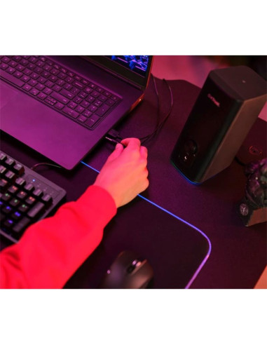 ALTAVOCES TRUST GXT 612 CETIC GAMING RGB 2.0 USB/WIRELESS BLACK