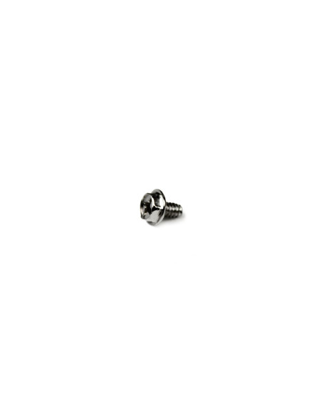 StarTech.com Tornillos de Fijación 6-32 x 1/4 pulgadas de Largo para