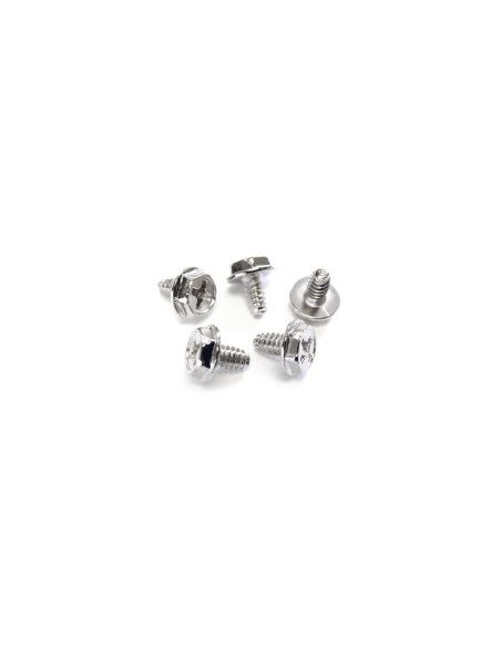 StarTech.com Tornillos de Fijación 6-32 x 1/4 pulgadas de Largo para