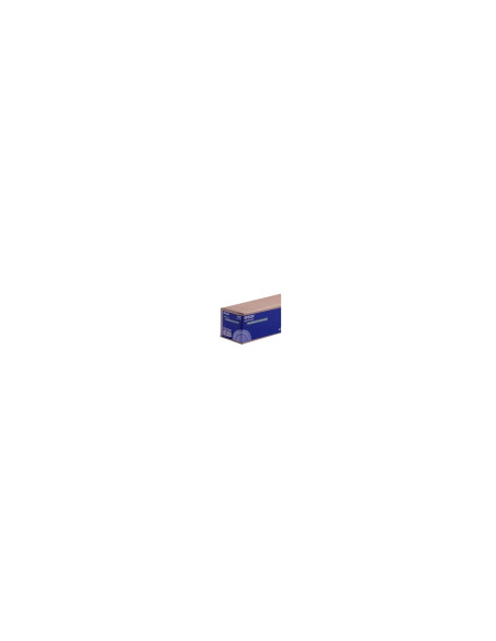 Papel Epson Rollo de Doubleweight Matte Paper, 44 C13S041387