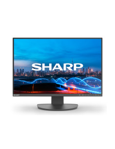 Sharp MultiSync EA241W pantalla para PC 61 cm (24") 1920 x 1200