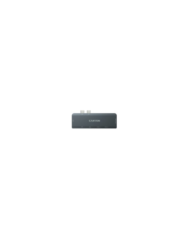 Canyon DS-5 USB 2.0 Type-C Gris