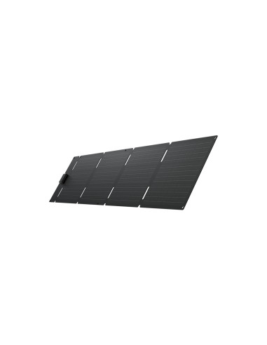 EcoFlow EFSOLAR60-TYPE-C placa solar 60 W Silicio monocristalino