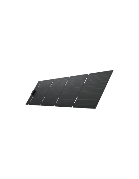 EcoFlow EFSOLAR60-TYPE-C placa solar 60 W Silicio monocristalino