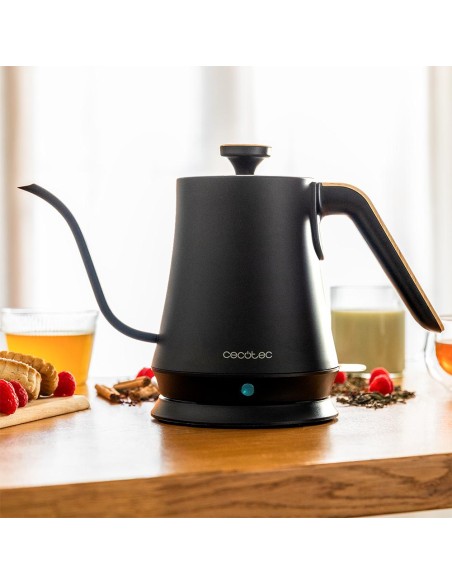 Thermosense 500 Cisne