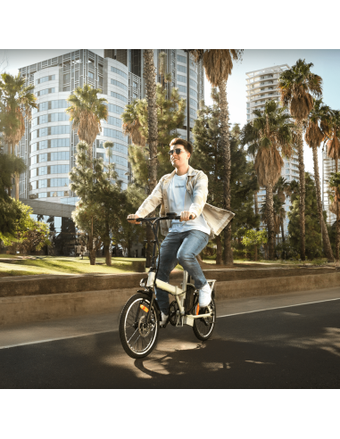 Bicicleta el?ctrica Folding