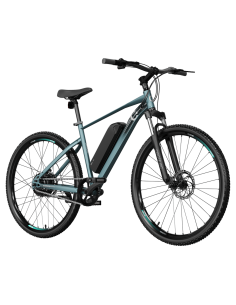 Bicicleta el?ctrica MTB Removable