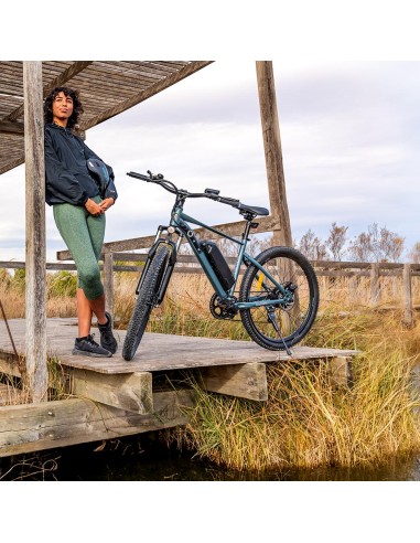 Bicicleta el?ctrica MTB Removable
