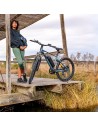 Bicicleta eléctrica MTB Removable