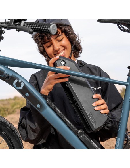 Bicicleta el?ctrica MTB Removable