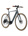 Bicicleta eléctrica Sprint Silver