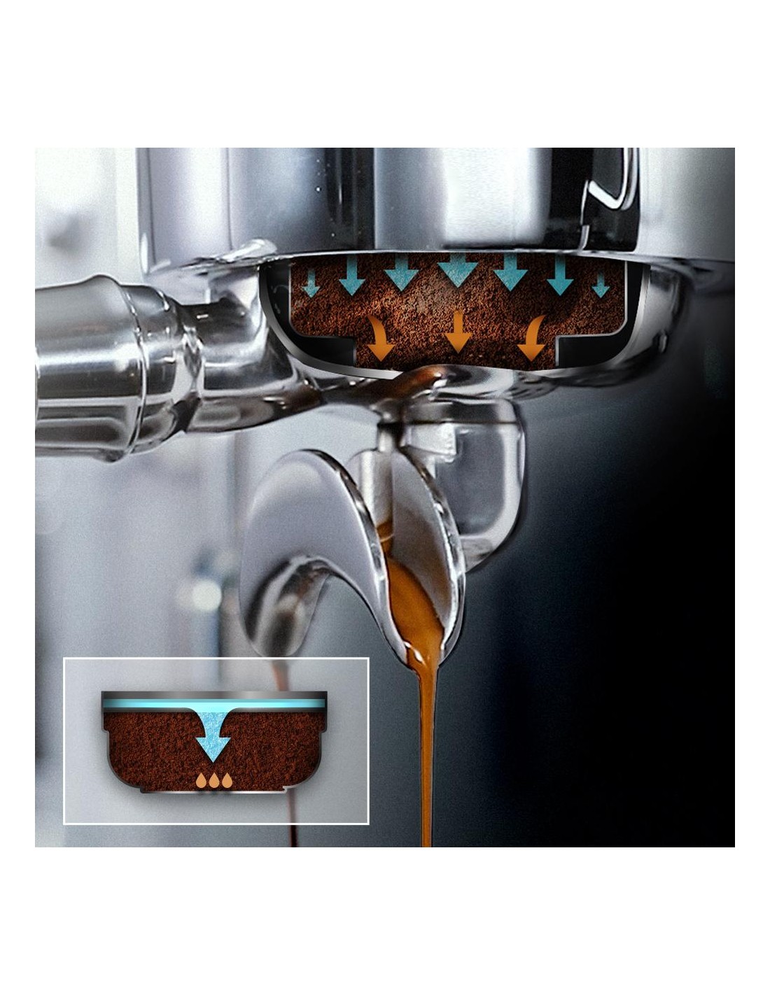 Baristeo Brava
