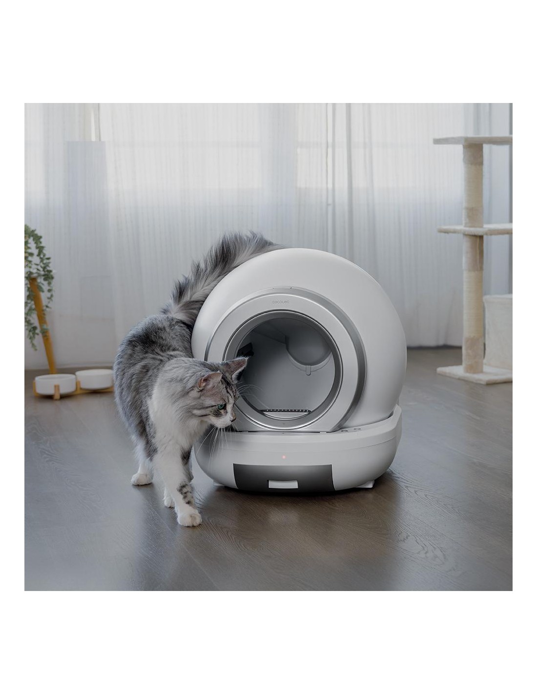 Pumba 7000 CleanKitty Compact Connected